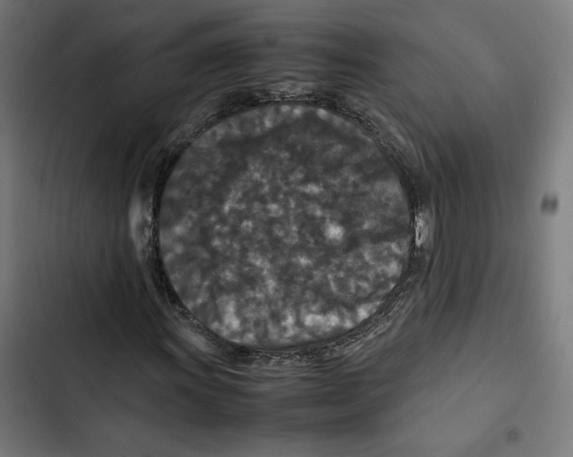 X0000102511011200809051405