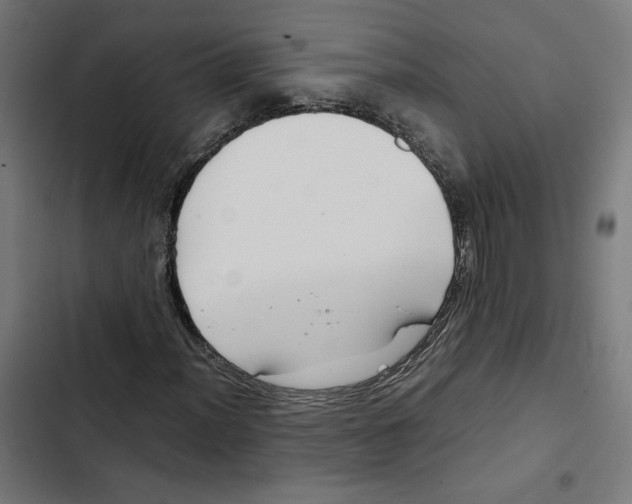 X0000102511012200809051405