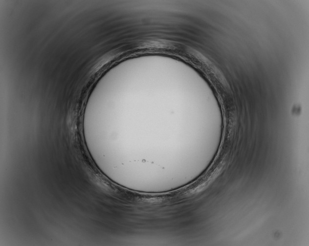 X0000102511017200809051405