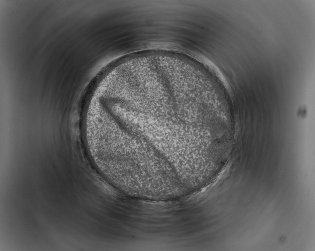 X0000102511019200809051405