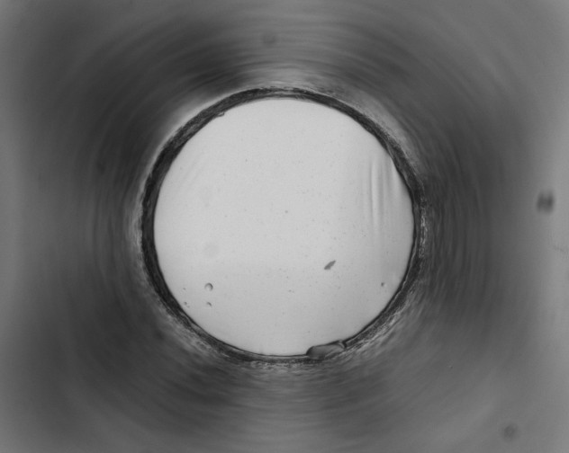 X0000102511020200809051405