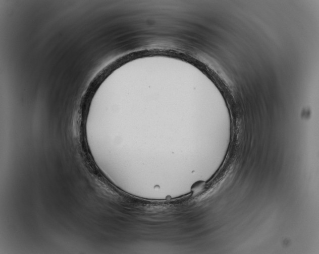 X0000102511021200809051405