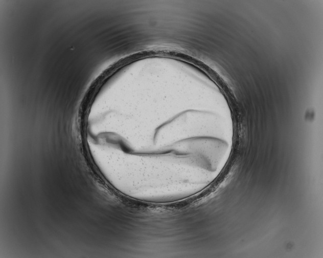 X0000102511022200809051405