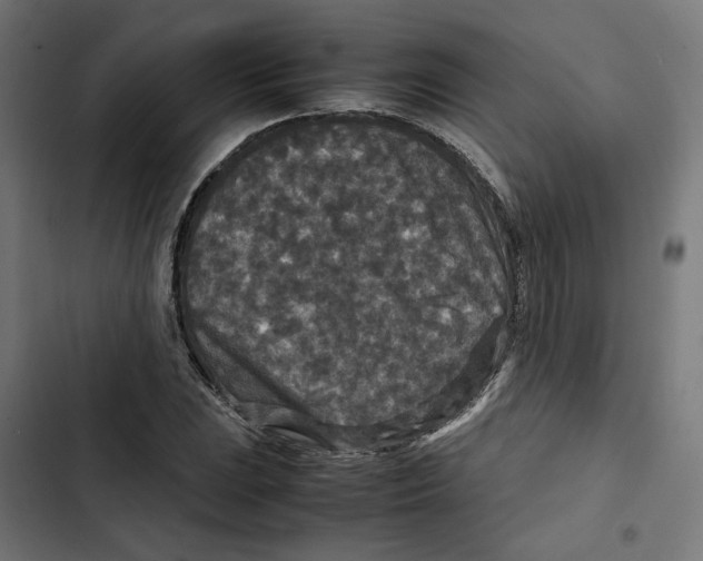 X0000102511023200809051405
