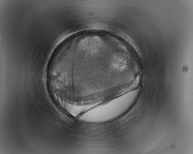 X0000102511024200809051405