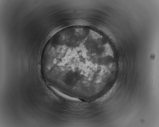 X0000102511025200809051405