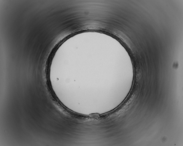 X0000102511026200809051405