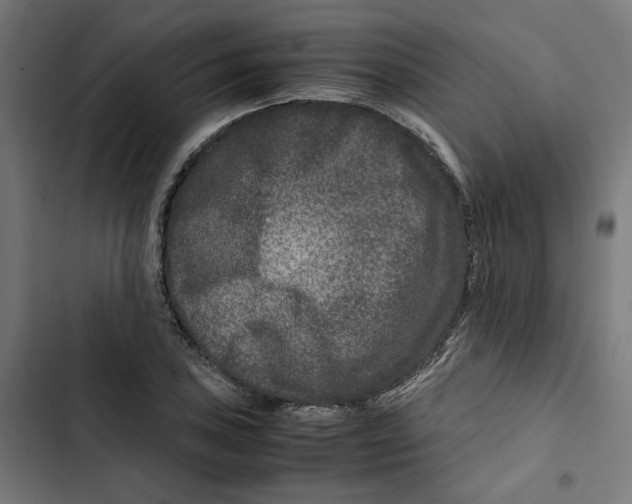 X0000102511027200809051405