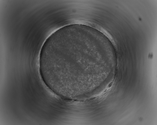 X0000102511028200809051405