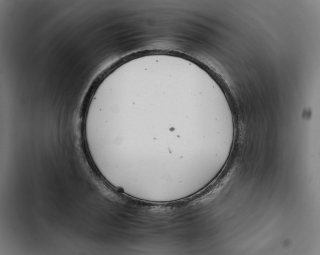 X0000102511029200809051405