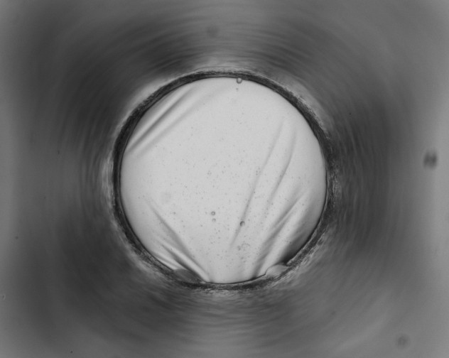 X0000102511030200809051405