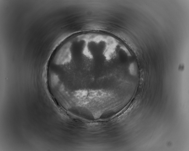 X0000102511031200809051405