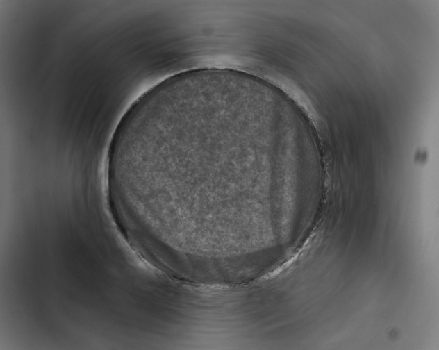 X0000102511032200809051405