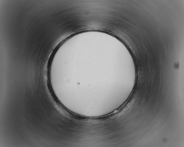 X0000102511034200809051405