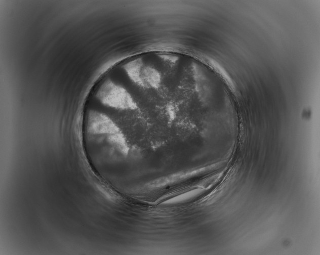 X0000102511035200809051405