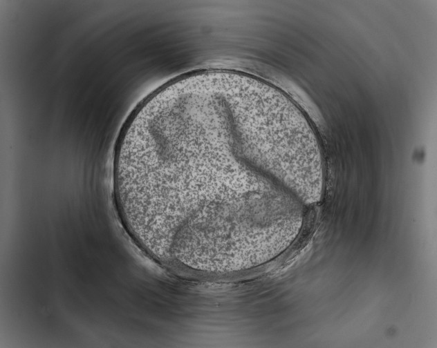 X0000102511036200809051405