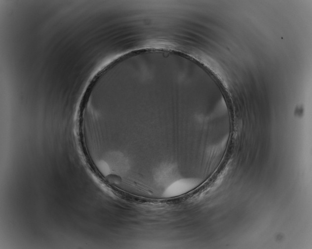 X0000102511037200809051405