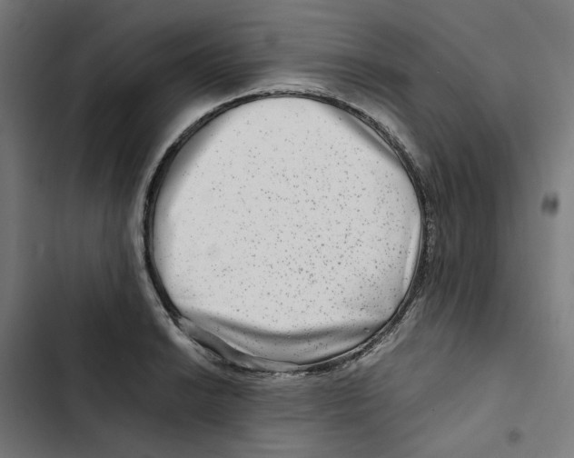 X0000102511038200809051405