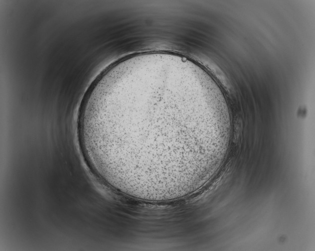 X0000102511039200809051406