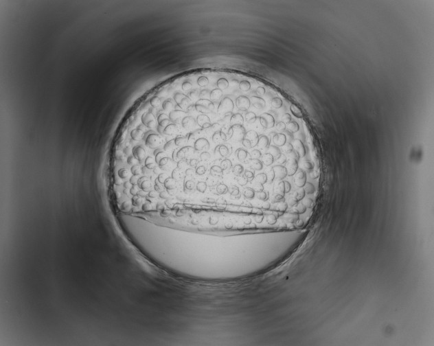 X0000102511040200809051406