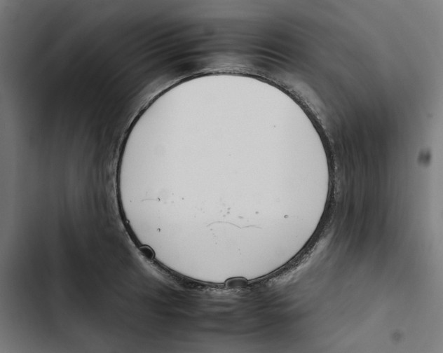 X0000102511041200809051406