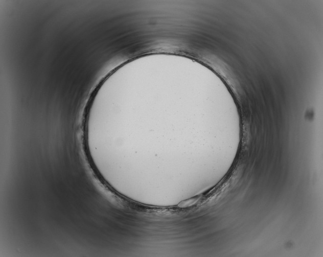 X0000102511042200809051406