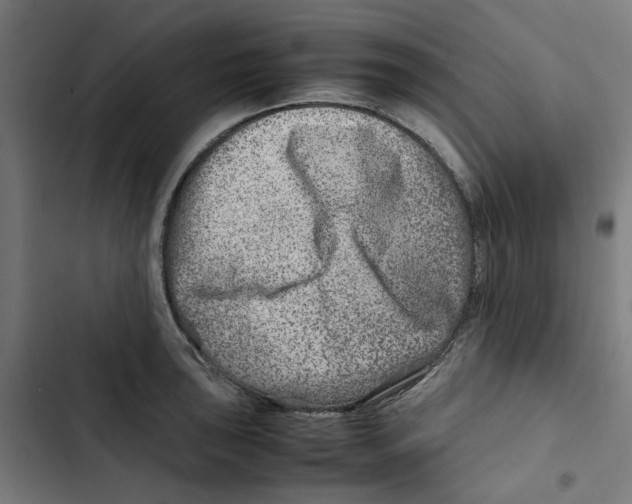 X0000102511043200809051406