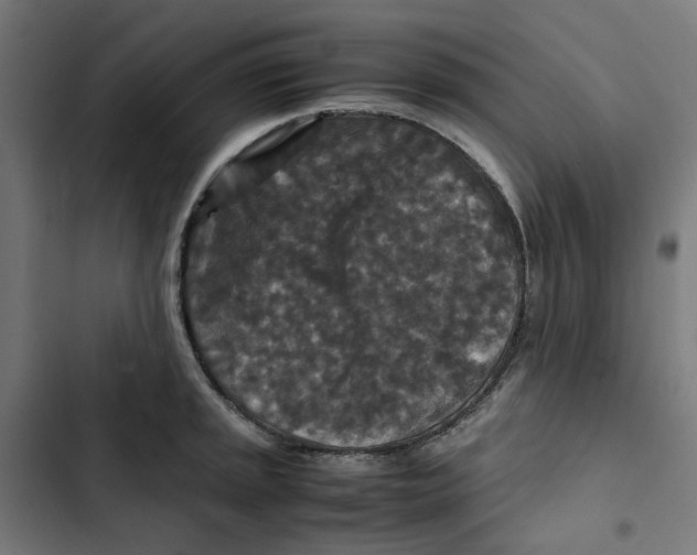 X0000102511045200809051406