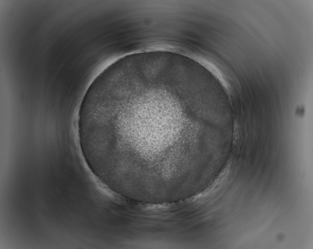 X0000102511047200809051406