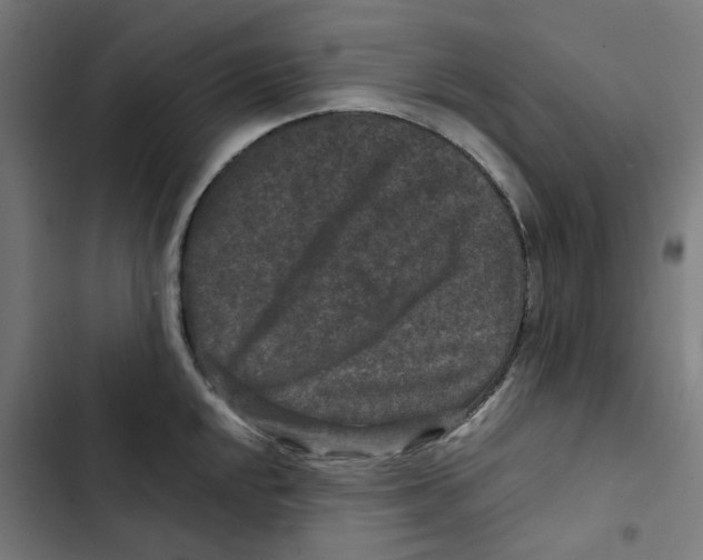 X0000102511048200809051406
