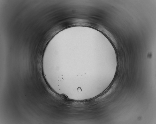 X0000102511049200809051406
