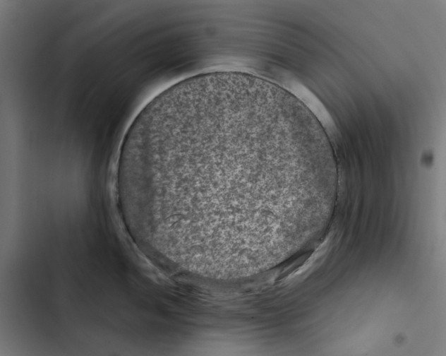X0000102511052200809051406
