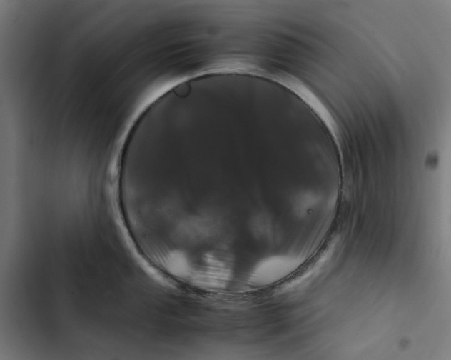 X0000102511053200809051406