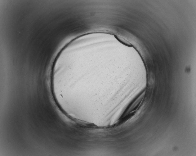 X0000102511054200809051406