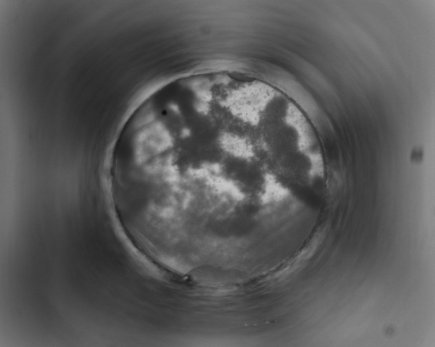 X0000102511055200809051406