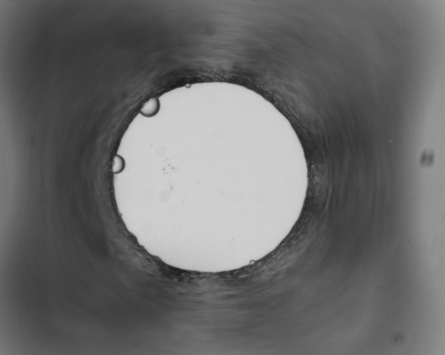 X0000102511057200809051405