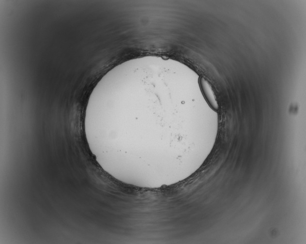 X0000102511058200809051405