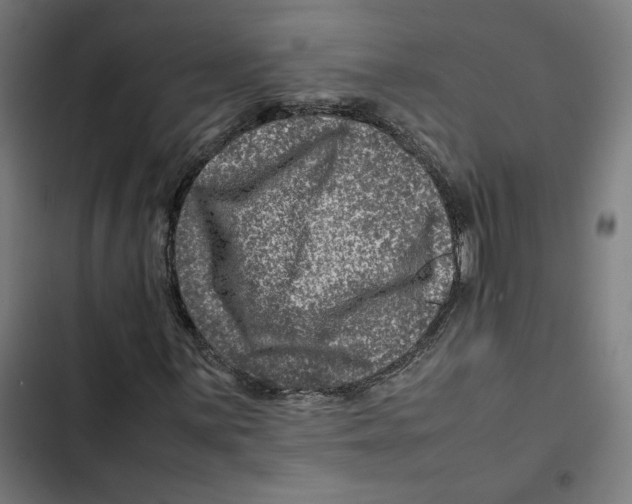 X0000102511059200809051405
