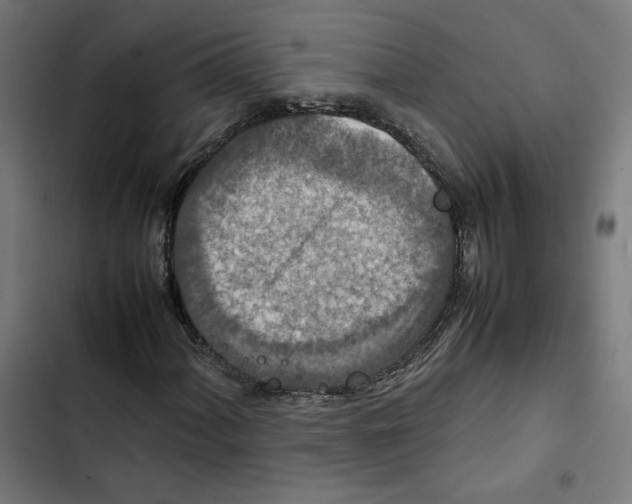 X0000102511060200809051405