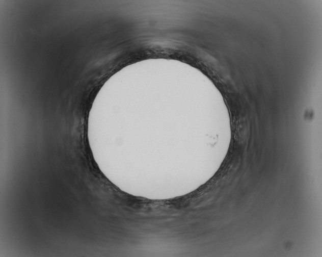 X0000102511061200809051405