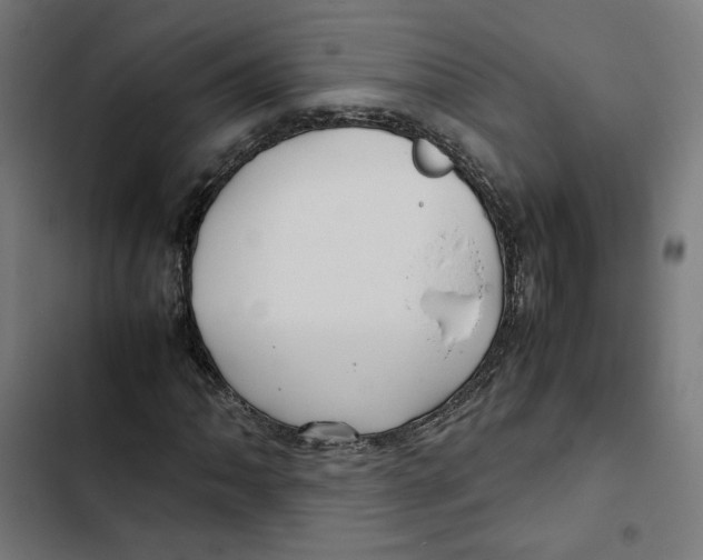 X0000102511062200809051405