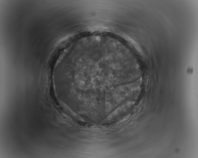 X0000102511063200809051405