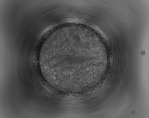 X0000102511064200809051405