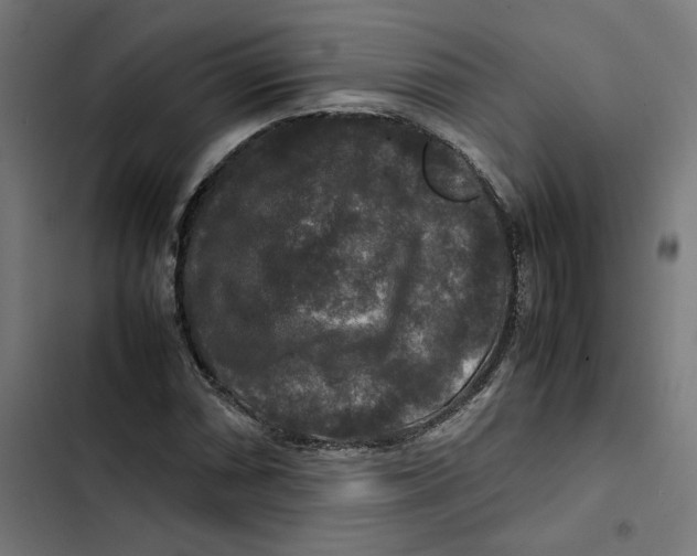 X0000102511066200809051405