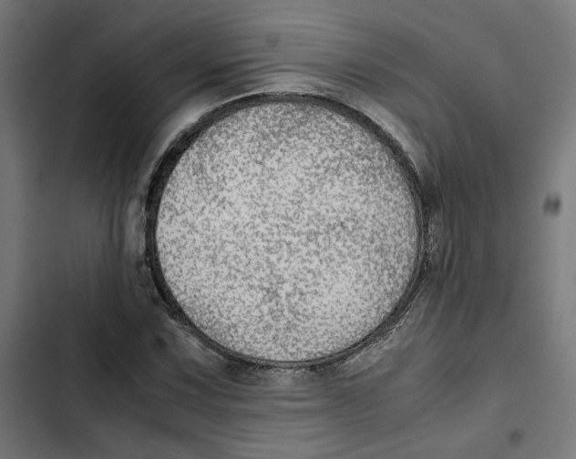 X0000102511067200809051405