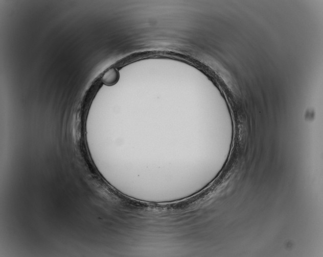 X0000102511069200809051405