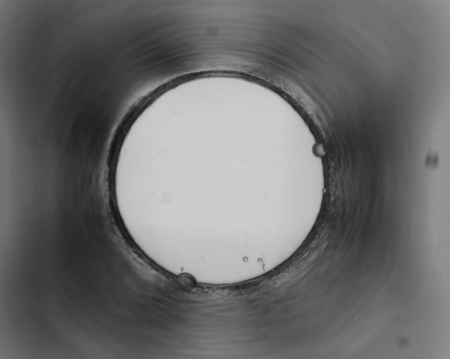 X0000102511072200809051405