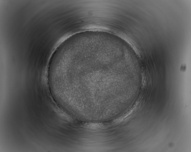 X0000102511074200809051404