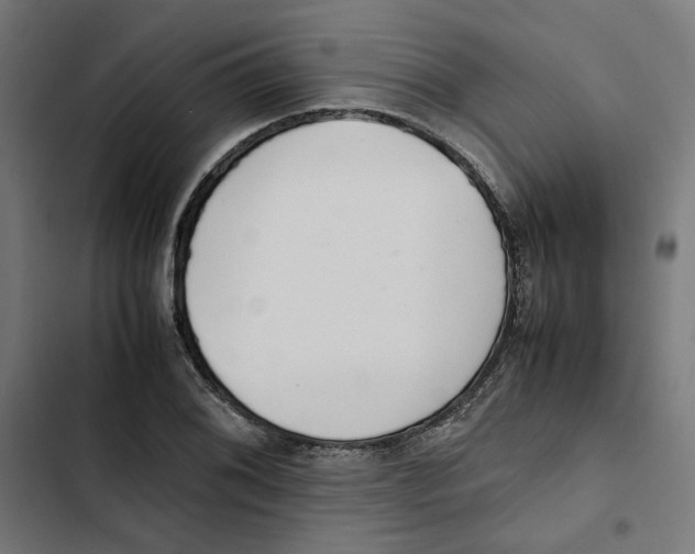 X0000102511076200809051404