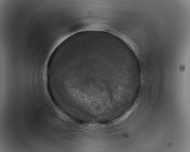 X0000102511077200809051404